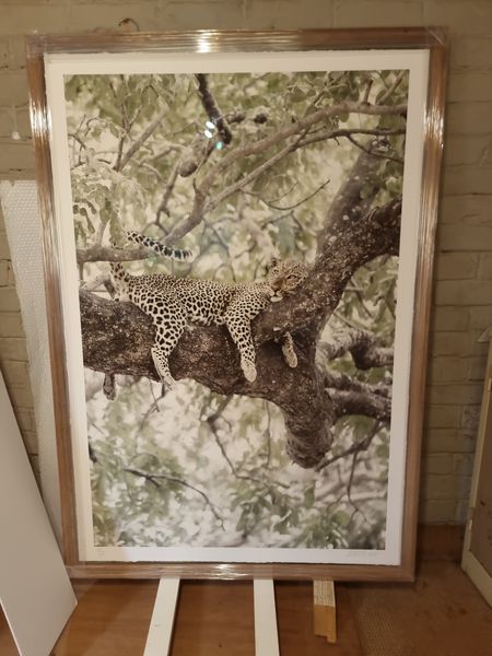 Wildlife Study — framed by Wechi